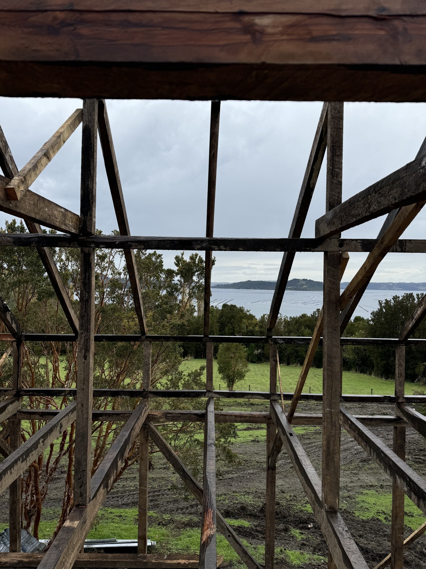 Tabiquería en madera nativa recuperada — expuesta como parte del lenguaje arquitectónico