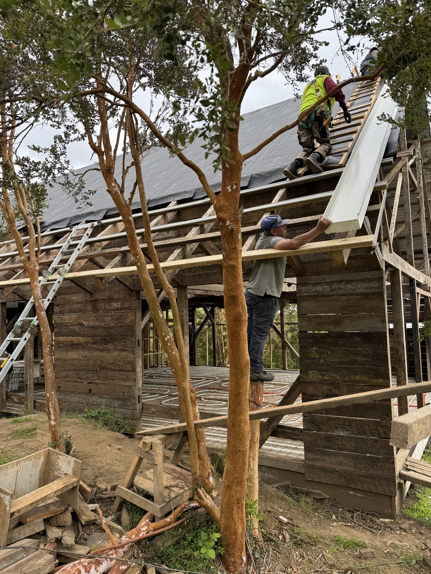 Terminaciones interiores — cocina y espacios tomando forma