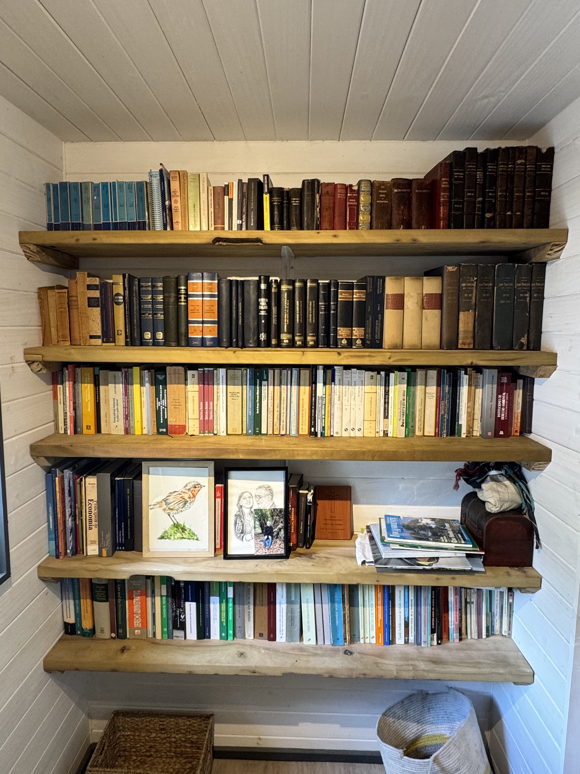 Biblioteca — troncos sin cepillar como soporte estructural y estético